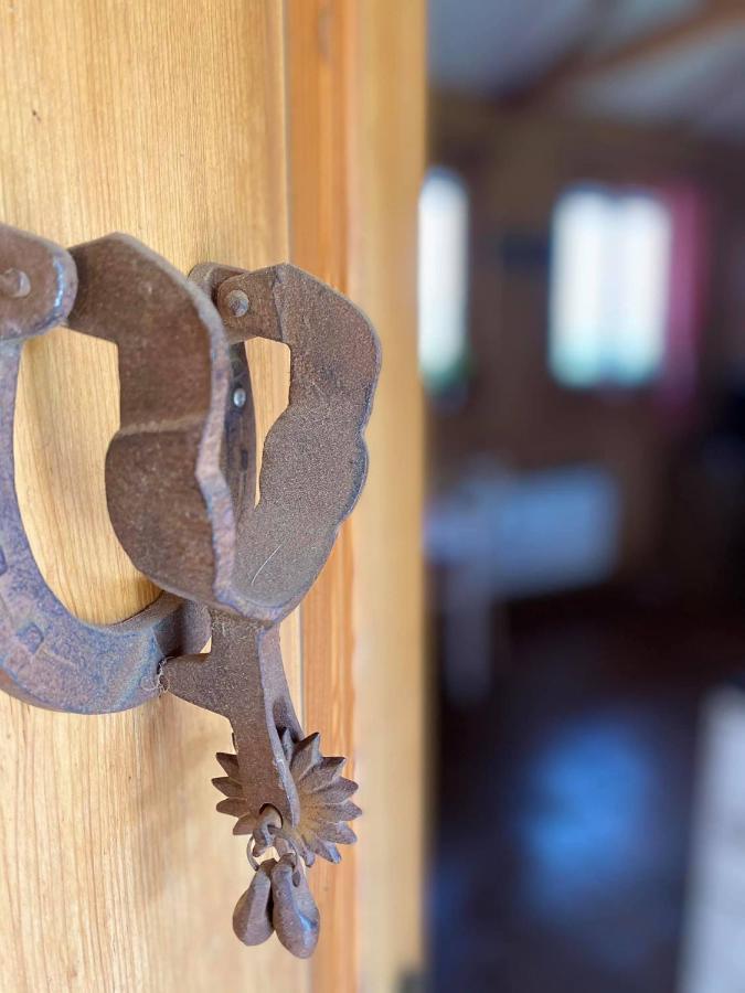 Apartman Na Ranci Pod Lovosem Velemin Dış mekan fotoğraf